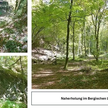 דירה Beautiful With Balcony - Good Connection To Cologne Centre *